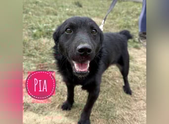 Pia die Allerliebste