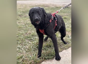 Aska ein verspieltes selbstbewusstes Mädchen