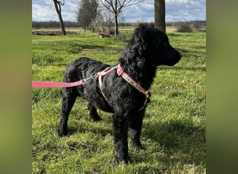 Lia ein kleiner Schatz