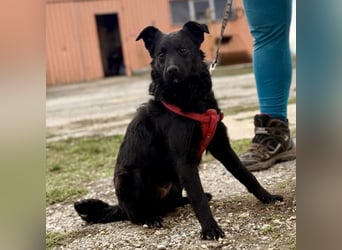 Aska ein verspieltes selbstbewusstes Mädchen