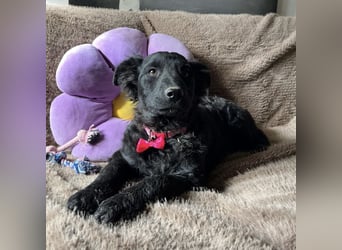 Lara ein kleiner Schatz