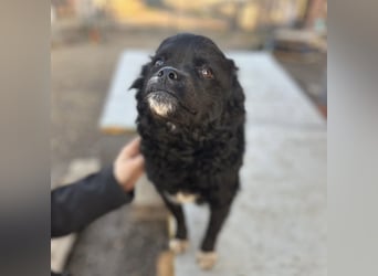 Milena eine kleine Zuckerschnute