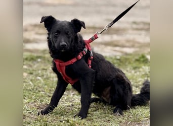 Aska ein verspieltes selbstbewusstes Mädchen