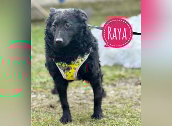 Raya zart wie eine Mimose