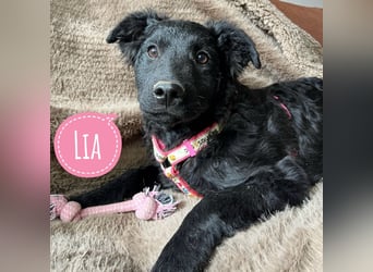 Lia ein kleiner Schatz