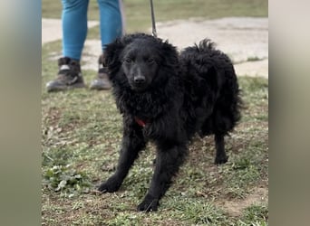 Asia die wundervolle fröhliche