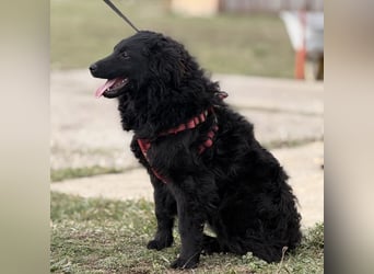 Asia die wundervolle fröhliche