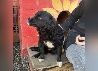 Milena eine kleine Zuckerschnute