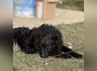 Asia die wundervolle fröhliche