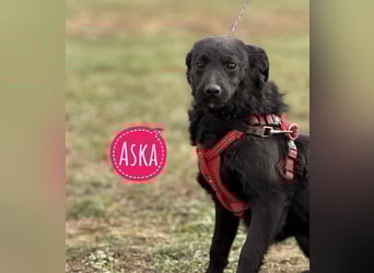 Aska ein verspieltes selbstbewusstes Mädchen