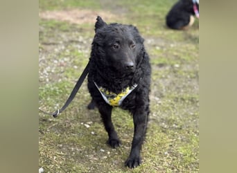 Raya zart wie eine Mimose