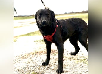 Aska ein verspieltes selbstbewusstes Mädchen