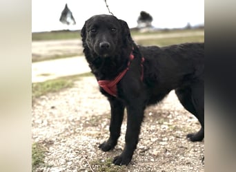 Aska ein verspieltes selbstbewusstes Mädchen