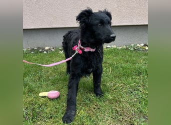 Lara ein kleiner Schatz