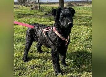 Lia ein kleiner Schatz