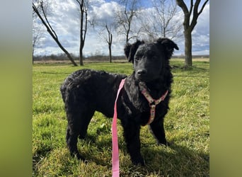 Lia ein kleiner Schatz