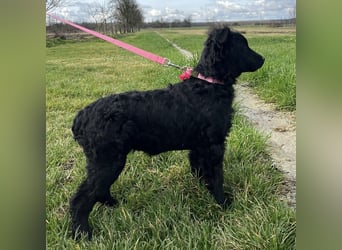 Lara ein kleiner Schatz