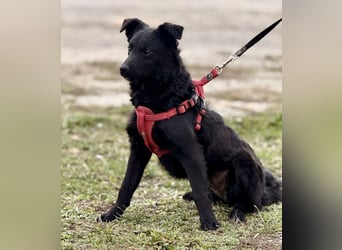 Aska ein verspieltes selbstbewusstes Mädchen