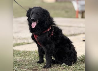 Asia die wundervolle fröhliche