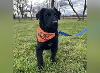 Leonien kleiner Schatz