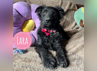 Lara ein kleiner Schatz