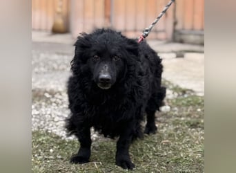 Lumpi ein lieber Schatz