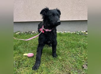 Lara ein kleiner Schatz