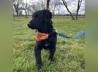 Leonien kleiner Schatz