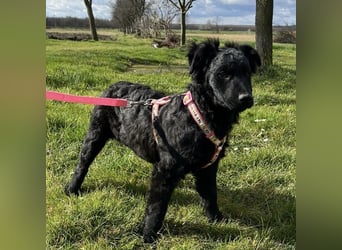 Lia ein kleiner Schatz