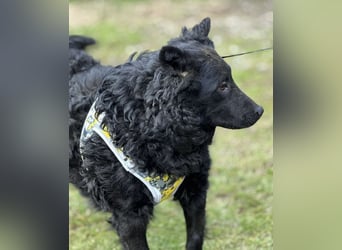 Raya zart wie eine Mimose