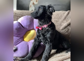 Lara ein kleiner Schatz