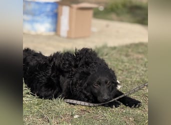 Asia die wundervolle fröhliche