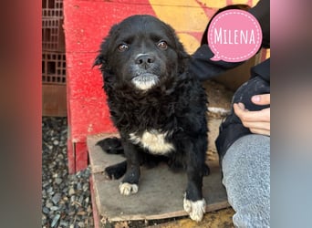 Milena eine kleine Zuckerschnute