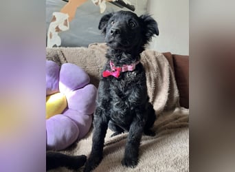 Lara ein kleiner Schatz