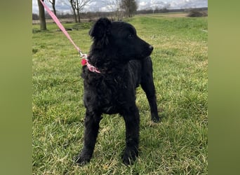 Lara ein kleiner Schatz