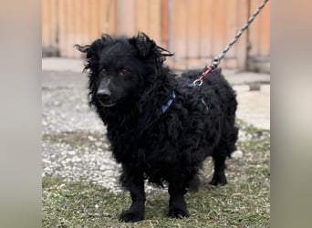 Lumpi ein lieber Schatz