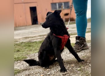 Aska ein verspieltes selbstbewusstes Mädchen