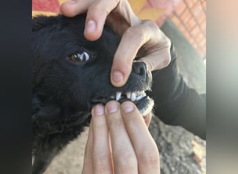 Milena eine kleine Zuckerschnute