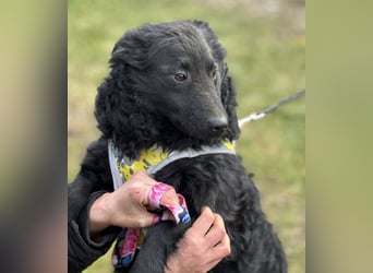 Raya zart wie eine Mimose