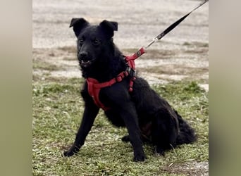 Aska ein verspieltes selbstbewusstes Mädchen