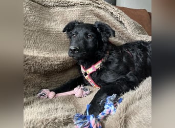 Lia ein kleiner Schatz