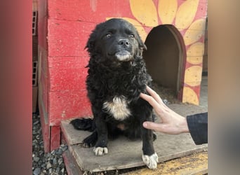 Milena eine kleine Zuckerschnute