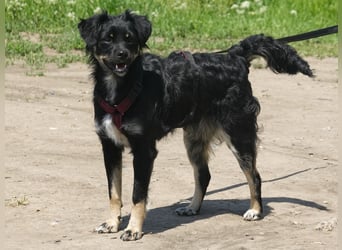 Fröhliche Tara sucht ihre Familie fürs Leben