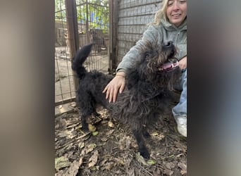 Beneth - ein lustiger Bub der eine absolute Bereicherung wäre