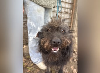 Beneth - ein lustiger Bub der eine absolute Bereicherung wäre