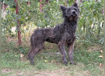 Zelmira KK – sucht geduldige, liebe Menschen