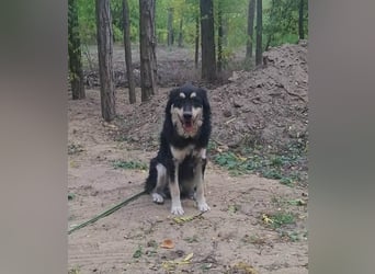 Arthur, geb. 10.03.2024, 48 cm, sucht nach seinen Menschen