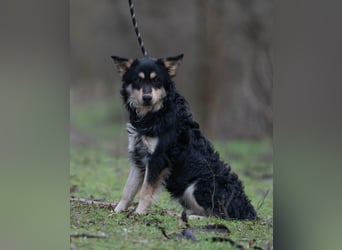 Arthur, geb. 10.03.2024, 48 cm, sucht nach seinen Menschen