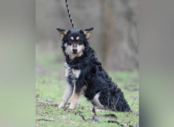 Arthur, geb. 10.03.2024, 48 cm, sucht nach seinen Menschen