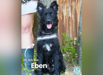 Eben SI, mag Kinder und Hunde
